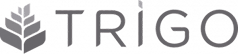 Logo Grupo Trigo